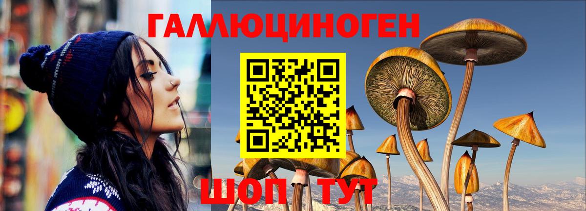 Псилоцибиновые грибы ЛСД Тара