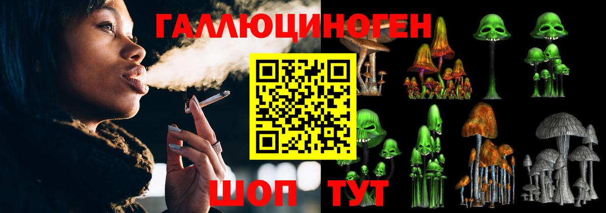 Тара  Галлюциногенные грибы Psilocybine cubensis  Вход с VPN  Галлюциногенные грибы Magic Shrooms 